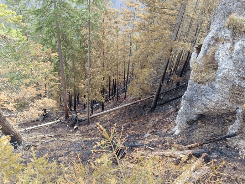 Waldbrand in Wildalpen
